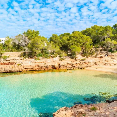 The Signature Level At Trs Ibiza (adults Only) 5* 샌안토니오